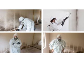 mold-restoration-services-in-san-diego-and-surrounding-areas-small-0