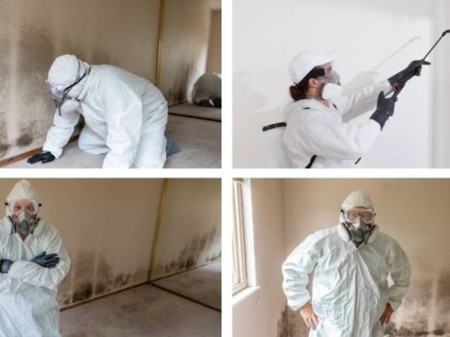 mold-restoration-services-in-san-diego-and-surrounding-areas