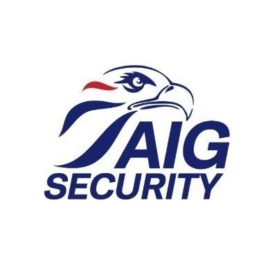 aig-security-big-0