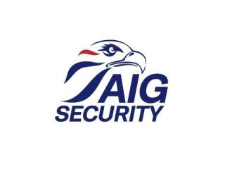 aig-security-small-0