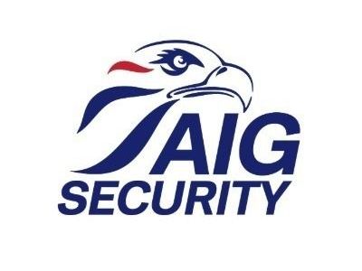 aig-security