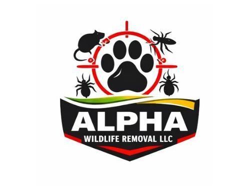 pest-control-service