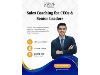 sales-coaching-for-ceos-senior-leaders-small-0