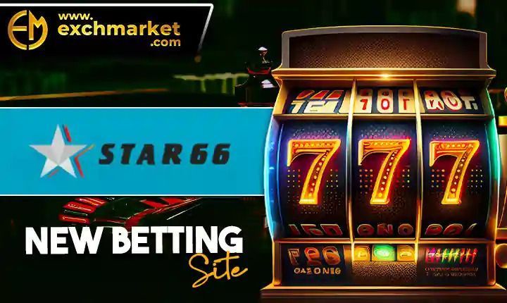 popular-online-sports-platform-for-game-enthusiasts-big-0