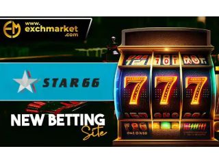 popular-online-sports-platform-for-game-enthusiasts-small-0