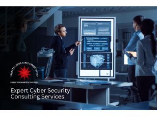 cyber-security-consultant-usa-constellation-cyber-consultancy-small-0