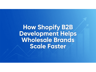how-shopify-b2b-development-helps-wholesale-brands-scale-faster-small-0