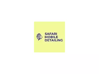 safari-mobile-detailing-small-0