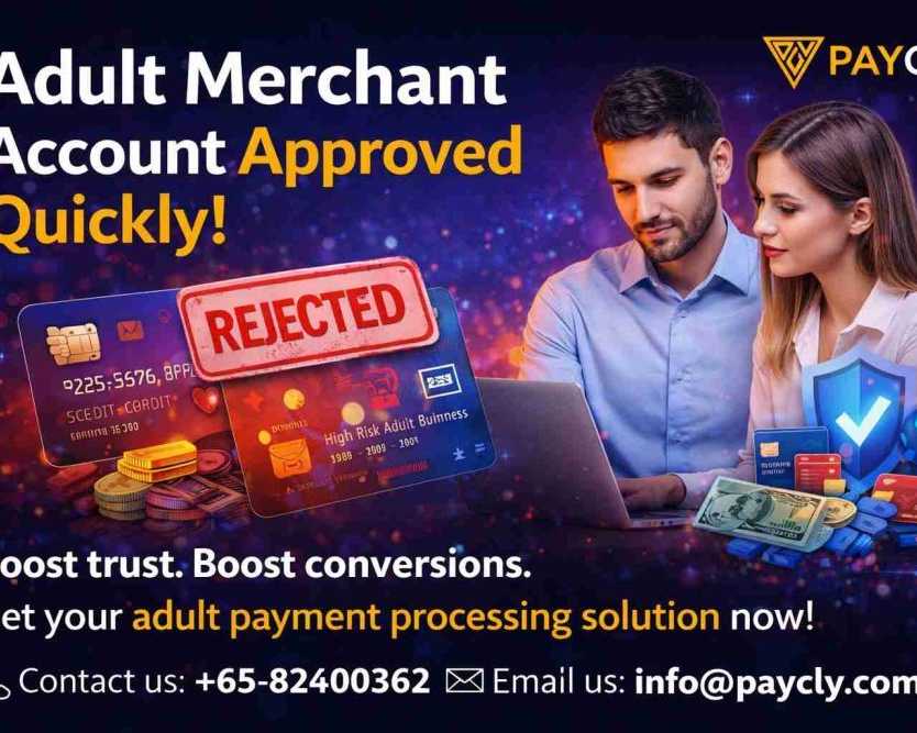 struggling-to-get-an-adult-merchant-account-heres-the-solution