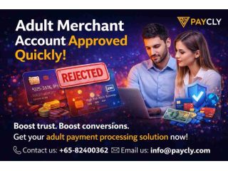 struggling-to-get-an-adult-merchant-account-heres-the-solution-small-0