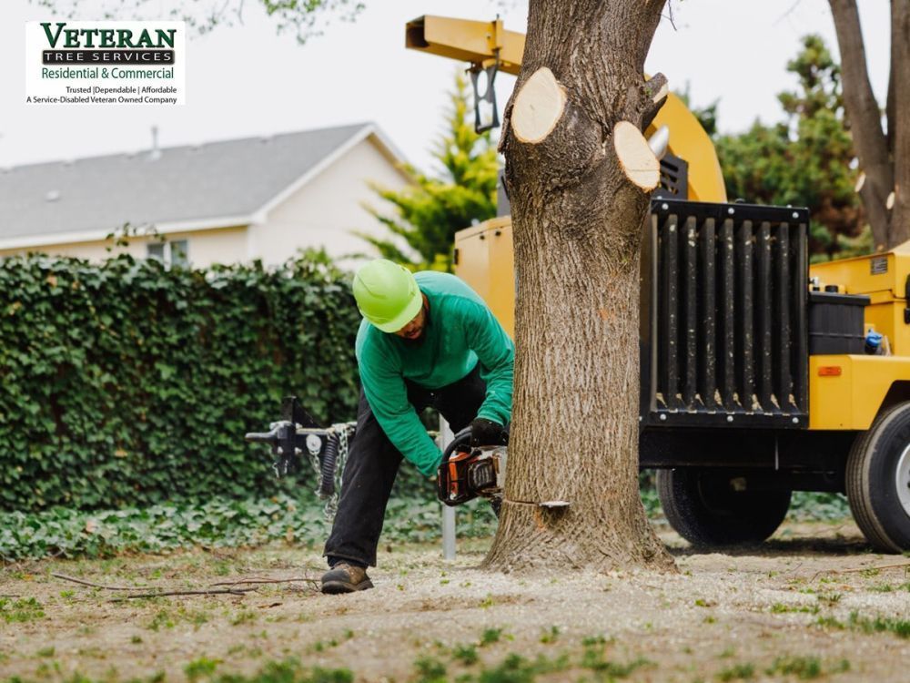 tree-service-in-montgomery-county-big-0