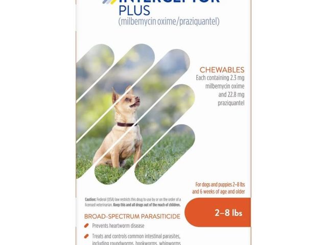 buy-interceptor-plus-for-dogs-get-20-off-free-shipping