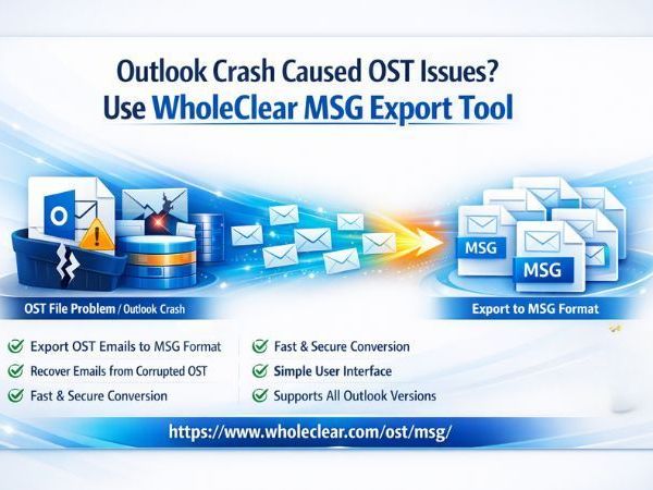 outlook-crash-caused-ost-issues-use-wholeclear-msg-export-tool
