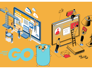 golang-web-development-company-small-0