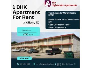 spacious-1-bhk-flats-available-in-killeen-tx-small-0