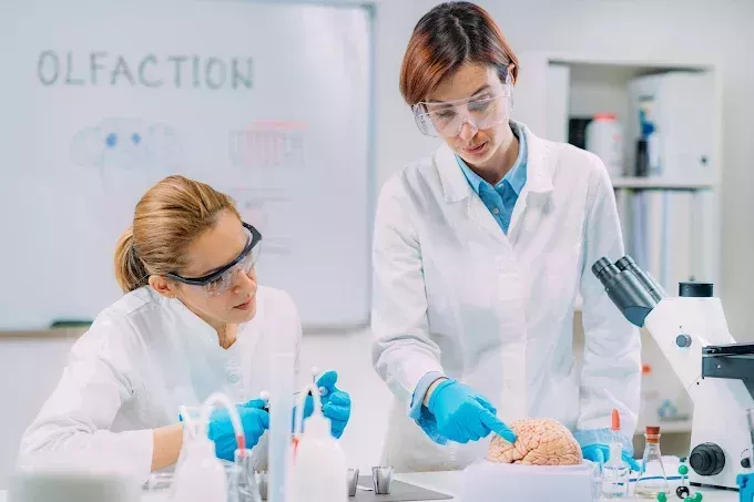 water-testing-nyc-professional-lead-and-water-quality-analysis-big-1