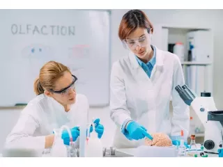 water-testing-nyc-professional-lead-and-water-quality-analysis-small-1
