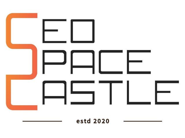 digital-marketing-agency-in-mohali-seo-space-castle