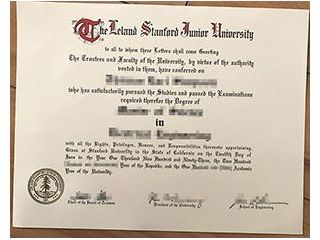 academic-diploma-structure-professional-certificate-layout-small-0