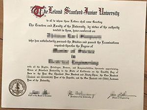 academic-diploma-structure-professional-certificate-layout