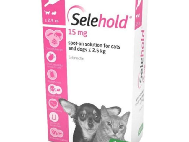 selehold-generic-revolution-for-cats-20-off-free-shipping