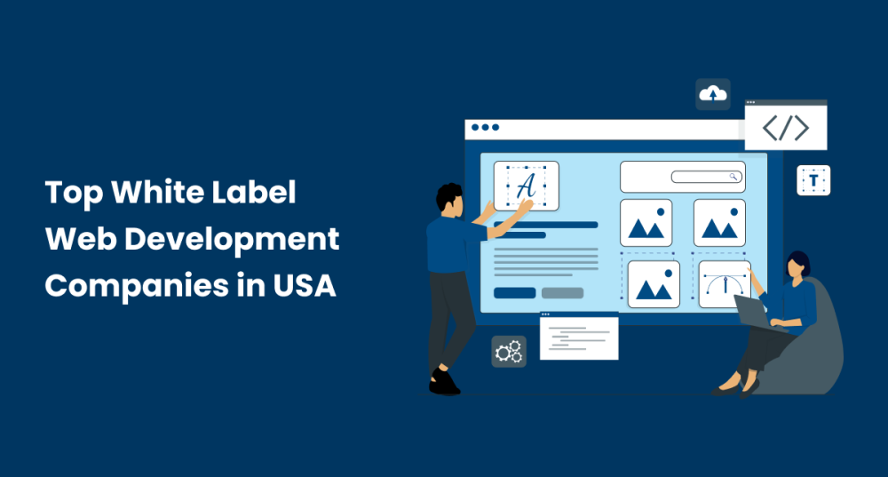 top-white-label-web-development-company-in-the-usa-big-0