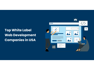 top-white-label-web-development-company-in-the-usa-small-0