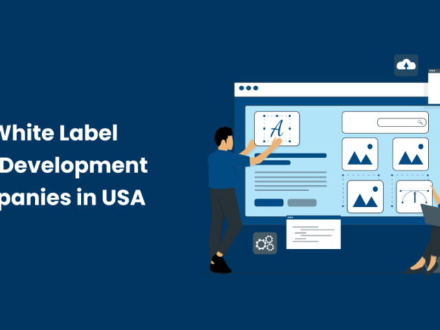 top-white-label-web-development-company-in-the-usa