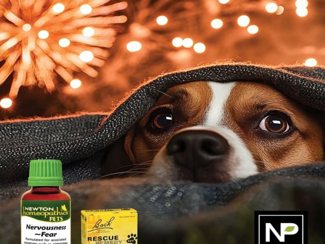 reliable-pet-care-products-at-natures-pick-market