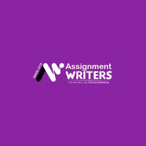 assignment-writers-big-0