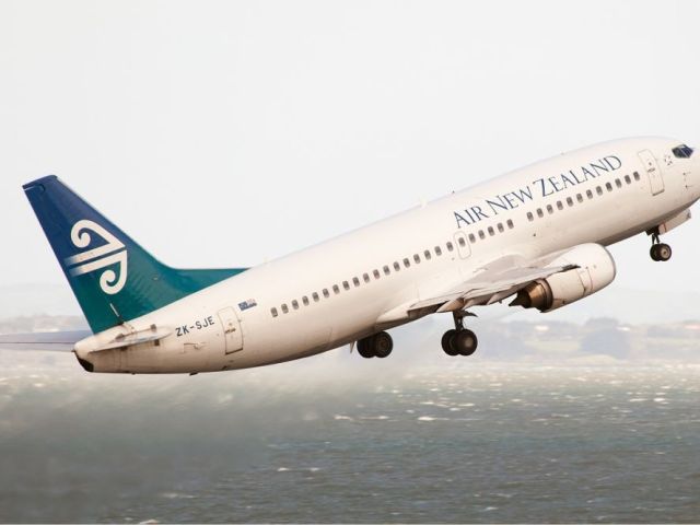 air-new-zealand-sea-terminal-1-833-641-1988