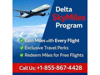 delta-sky-miles-program-small-0