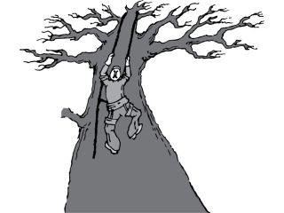 professional-tree-removal-salt-lake-ut-safe-reliable-services-small-0