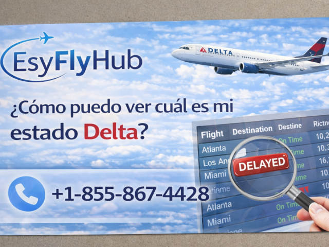como-puedo-ver-cual-es-mi-estado-delta