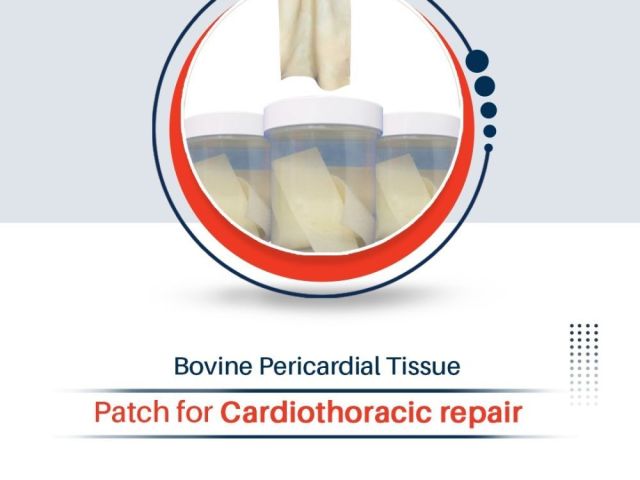 bovine-pericardial-tissue-patch