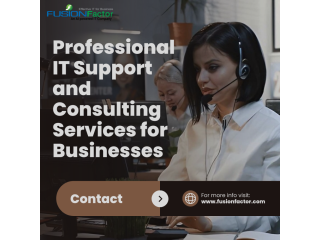 professional-it-support-and-consulting-services-for-businesses-small-0