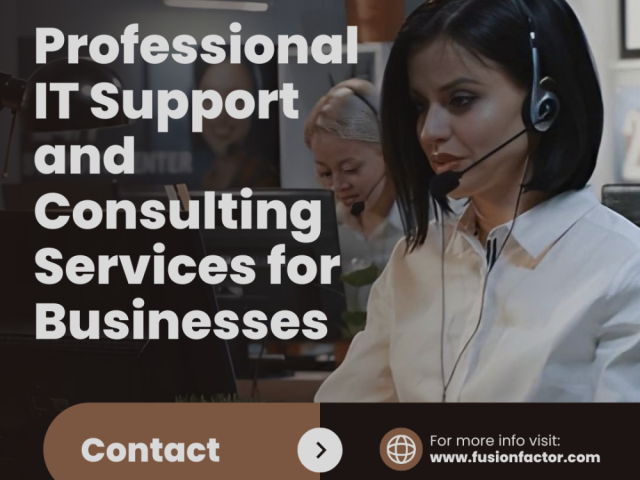 professional-it-support-and-consulting-services-for-businesses