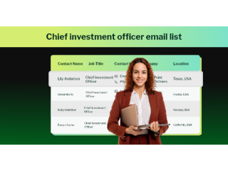 verified-us-chief-investment-officer-list-for-b2b-sales-small-0