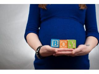 surrogate-mother-database-begin-your-application-small-0
