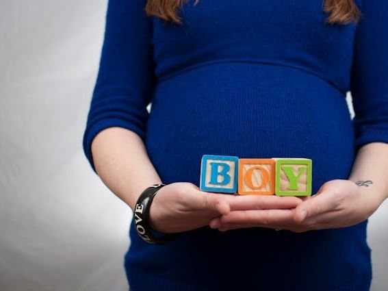 surrogate-mother-database-begin-your-application