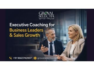 executive-coaching-for-business-leaders-and-sales-growth-small-0