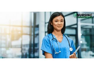 nursing-essay-writer-small-0