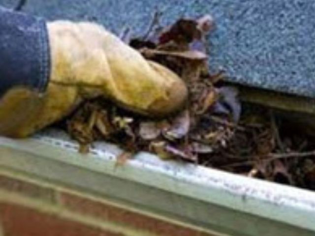 need-gutter-repair-danville-local-pros-ready-to-help