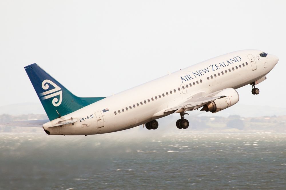 air-new-zealand-sea-terminal-big-0