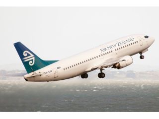 air-new-zealand-sea-terminal-small-0