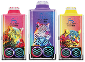 discover-randm-vapes-france-smooth-convenient-big-2