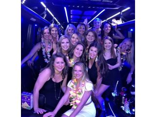 book-comfortable-party-bus-transportation-for-special-events-small-0