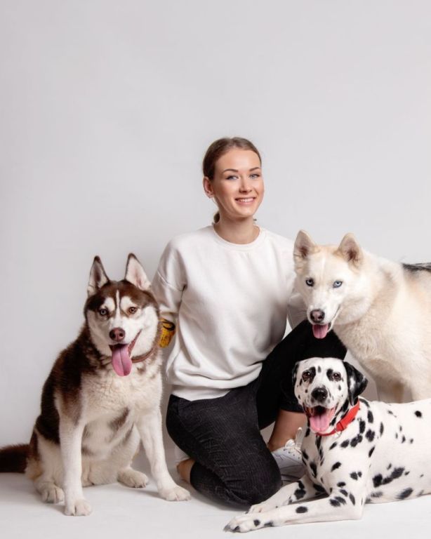 dog-training-classes-in-surprise-big-0