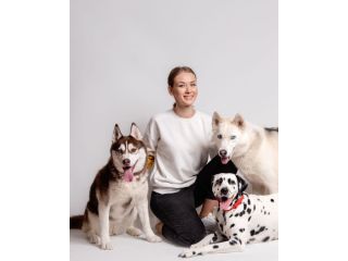 dog-training-classes-in-surprise-small-0