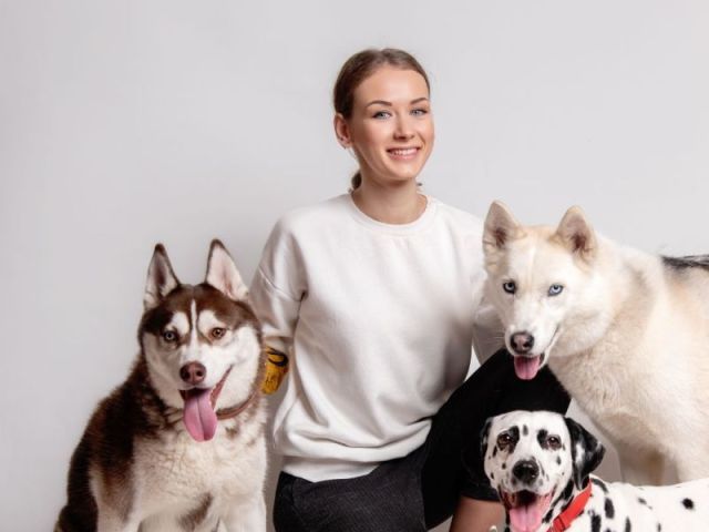 dog-training-classes-in-surprise